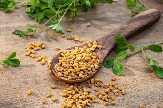 semințe de fenugreek